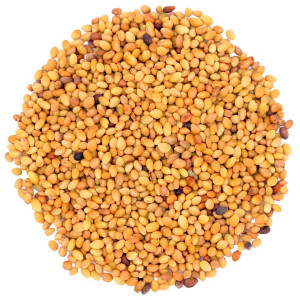 Seminte de Trifoi de Alexandria (Trifolium Alexandrinum) - 1 kg