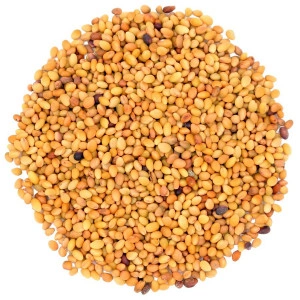 Seminte de Trifoi de Alexandria (Trifolium Alexandrinum) - 1 kg