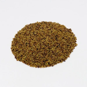 Seminte de trifoi rosu (Trifolium pratense) - 1 kg
