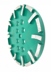 Disc cu segmenti diamantati pt. slefuire pardoseli - segment dur - Verde - 250 mm - prindere 19mm - DXDY.8500.250.23 - Img 2