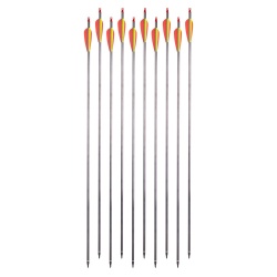 Săgeți din carbon cu vârfuri înșurubabile inSPORTline Carbison 30” – 10 buc.