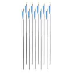 Săgeți din aluminiu cu vârfuri înșurubabile inSPORTline Aluson 30” – 10 buc.