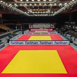 Saltea Judo Taishan 200 x 100 x 5 cm, Rosu - Img 7
