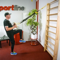 Scara gimnastica inSPORTline 245 x 90 cm 2014 - Img 12