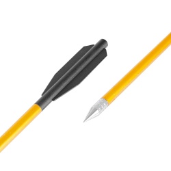 Săgeți din aluminiu inSPORTline Ivson – 12 buc.
