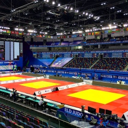 Saltea Judo Taishan 200 x 100 x 4 cm, Rosu - Img 5
