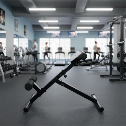 Hyperextension Bench inSPORTline ON-X RC 20 - Img 4