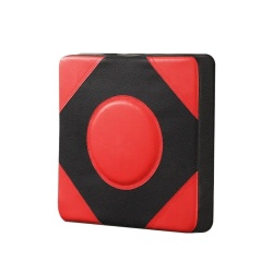 Punching Pad inSPORTline Tarbo Small 30 x 30 x 8 cm - Img 2
