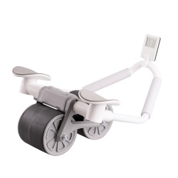 Roat? exerci?ii 2 �n 1 inSPORTline AB Roller DR2020 - Img 2