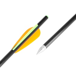 Săgeți din fibră de sticlă inSPORTline Frankson 34 cm – 10 buc.
