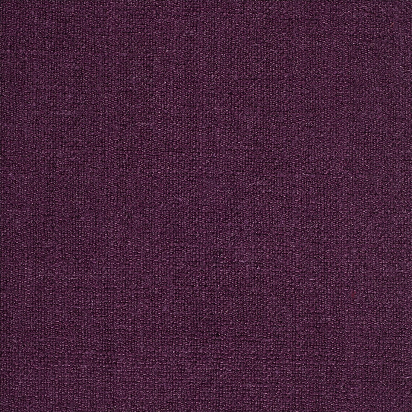 Eggplant