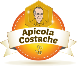 Mos Costache