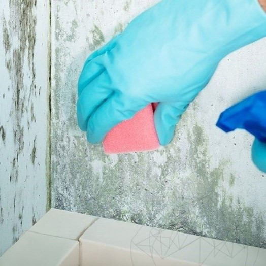 Detergenti Uz Universal