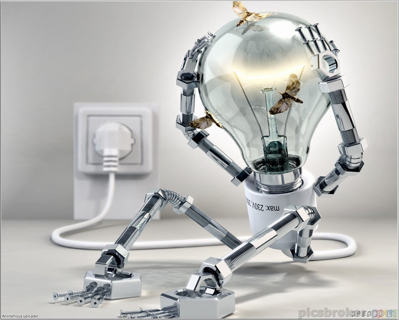 Iluminat &amp; Electrice