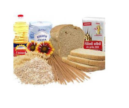 Alimente de baza