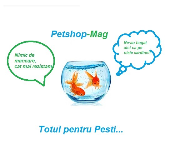 Pesti