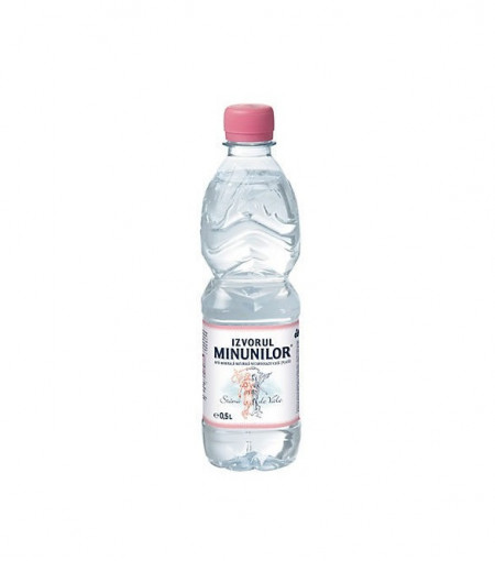 Apa plata Izvorul Minunilor 12 x 0.5L