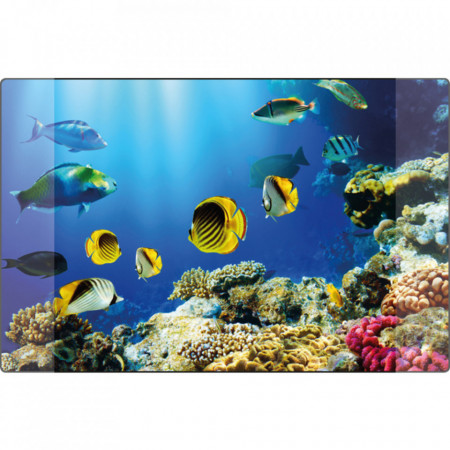 Mapa birou PVC Flexibil 38 x 58 cm, KANGARO - imagine harta lumii - Img 6