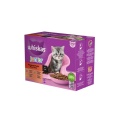 Hrana umeda pisici, Whiskas junior, selectii clasice, 12 x 100g