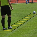 Scara de antrenament 6 m si 12 trepte Negru/Galben - Img 2