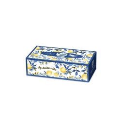 Servetele Faciale Pufina Select, 3 straturi, 100 Buc/cutie
