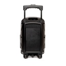 Boxea portabila bluetooth, tip troler Spacer COUGAR - RMS 35W, 8" woofer, acumulator 1800 mAh USB/microSD, remote control, wireless microphone - Img 4
