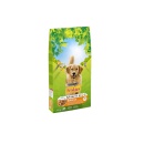 Hrana uscata pentru caini Friskies Balance, Pui & Legume, 15 Kg - Img 2