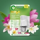 Odorizant de camera electric cu rezerva Air Wick, Iasomie inflorita si Frezie, 19 ml - Img 6