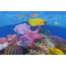 Poster Fototapet Dublu pentru Acvariu, 2 Fețe cu Peisaje diverse 30 x 50 cm, Rezistent la Apă - Img 4