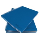 Caiet A4 cu spira metalica, microperforatii si coperti plastic, 100 file EVOffice - Img 3