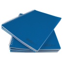 Caiet A4 cu spira metalica, microperforatii si coperti plastic, 100 file EVOffice