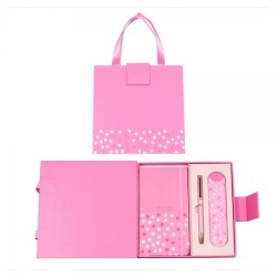 Set cadou Pix lila + agenda mate A6 + etui Cresco Classic PREMIUM lila - Img 3