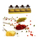 Set recipiente pentru condimente cu suport, Sterk 4 buc/set - Img 5