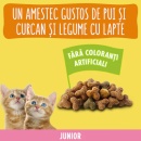 Hrana Uscata Friskies Junior Pisici 1,5 Kg - Img 3