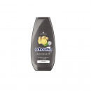 Sampon pentru Barbati Schauma Classic cu extract de hamei 250ml - Img 2