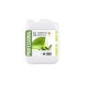 Gel de dus si Sampon pentru hoteluri, Professional Iasomie si Portocala, 5L - Img 2