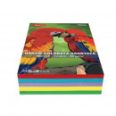 Hartie colorata A4, 500 coli 5 culori DACO 80g/mp