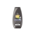 Sampon Schauma Men Intense cu extract de ghimbir, 250 ml