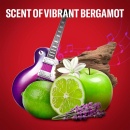 Set cadou Old Spice The Legend RockStar: gel dus 400 ml + deo stick 50 ml - Img 4