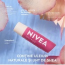 Balsam de buze Nivea Lip Care Soft Rose, 4.8 g - Img 4