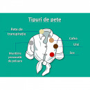 Detergent inalbitor indepartare pete Ace Ultra White 1l - Img 3
