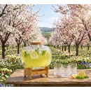 Dispenser din sticla cu robinet si suport lemn, limonada, suc, 3.6L - Img 3