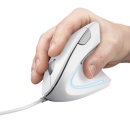 Mouse Wireless Trust VERTO, 800/1200/1600 DPI, cablu 1.5 m, Alb
