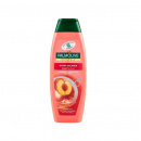 Sampon Palmolive Hydra Balance 350 ml