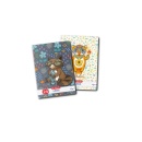 Caiet A5, 80 file coperta policromie dictando EVO - Img 2