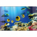 Mapa birou PVC Flexibil 38 x 58 cm, KANGARO - imagine harta lumii - Img 6