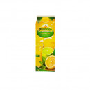 Suc Nectar Portocale Pfanner, 2L - Img 5