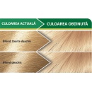 Vopsea pentru păr LONCOLOR Natura 11.1 Blond deschis cenușiu - Img 2