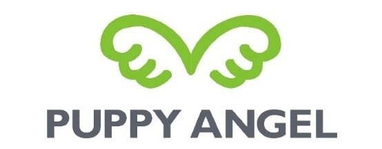Puppy Angel