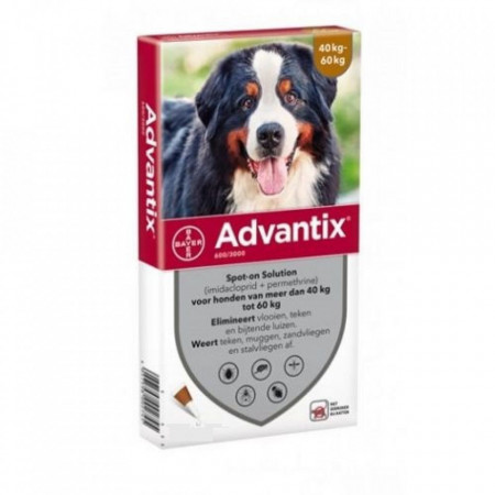 4x Advantix 40-60kg pipete antiparazitare caini